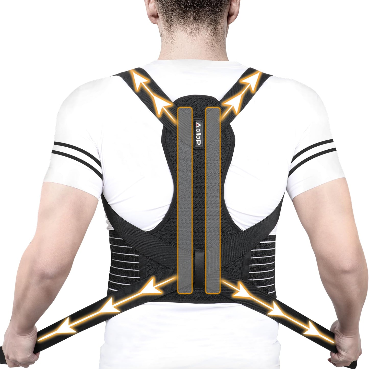 Posture Corrector - Back Brace Back Support Belt with Breathable Adjustable Elastic Bands