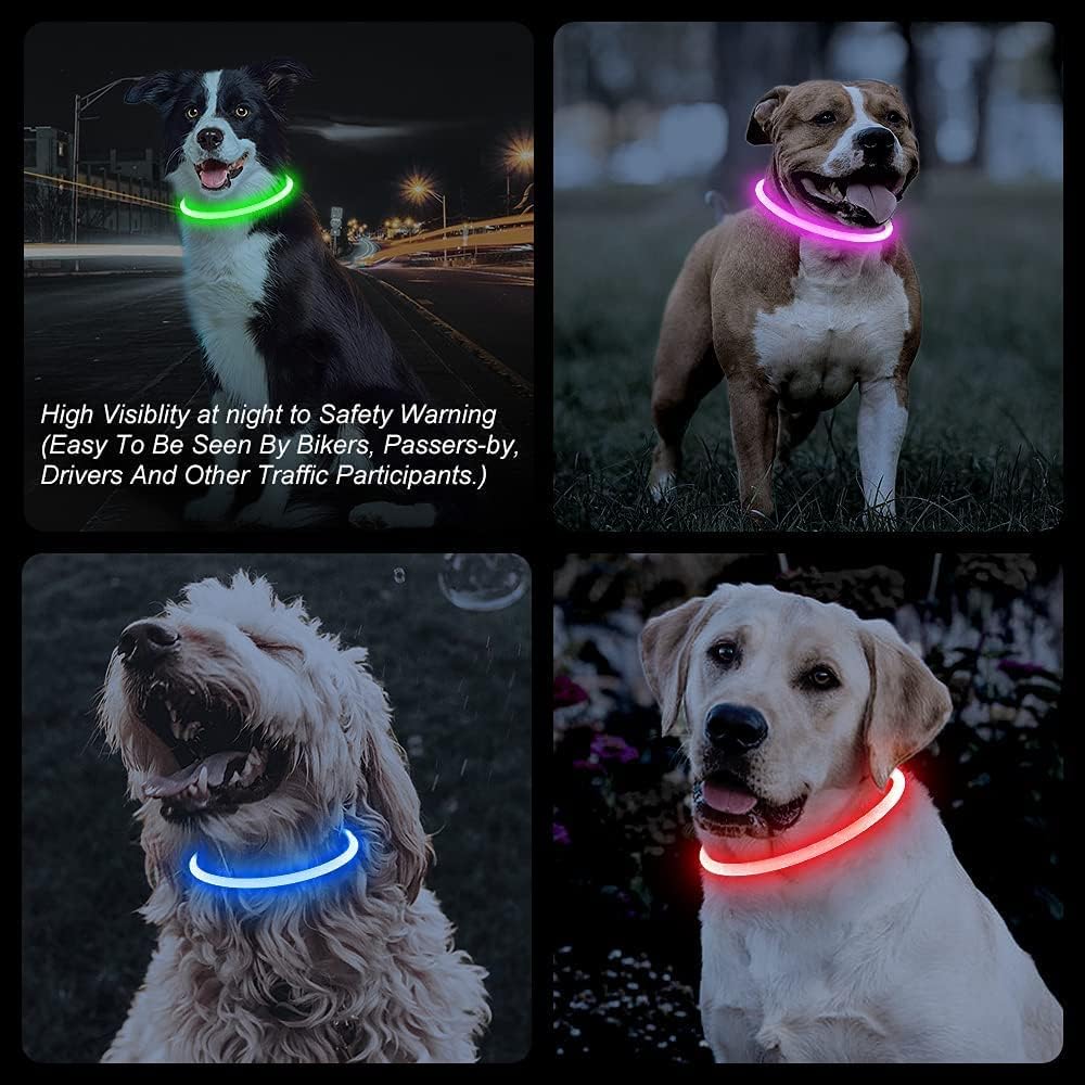 Light-Up Dog Collar