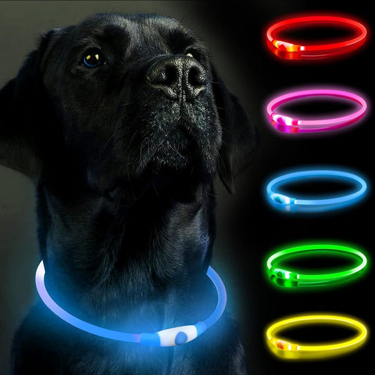 Light-Up Dog Collar