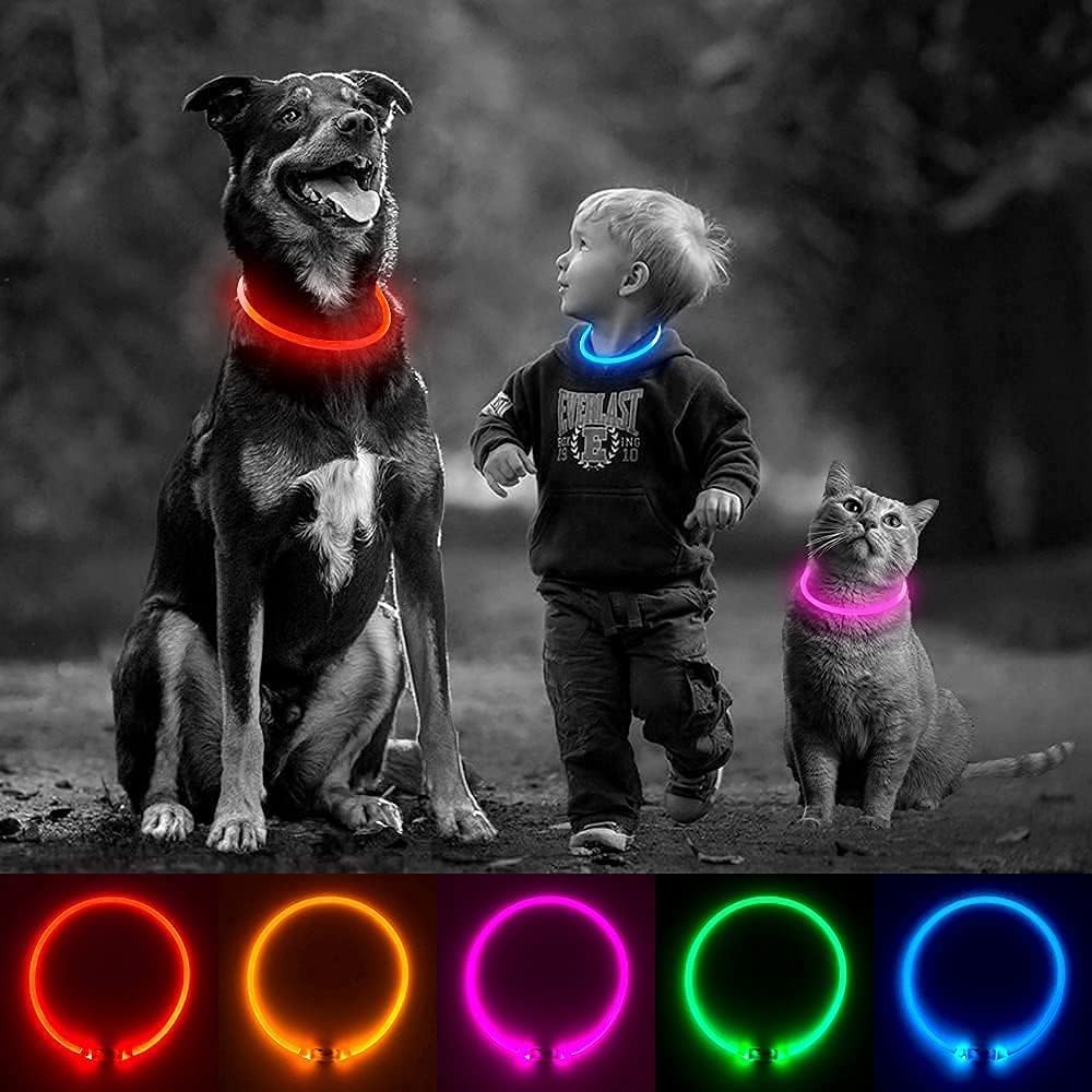 Light-Up Dog Collar